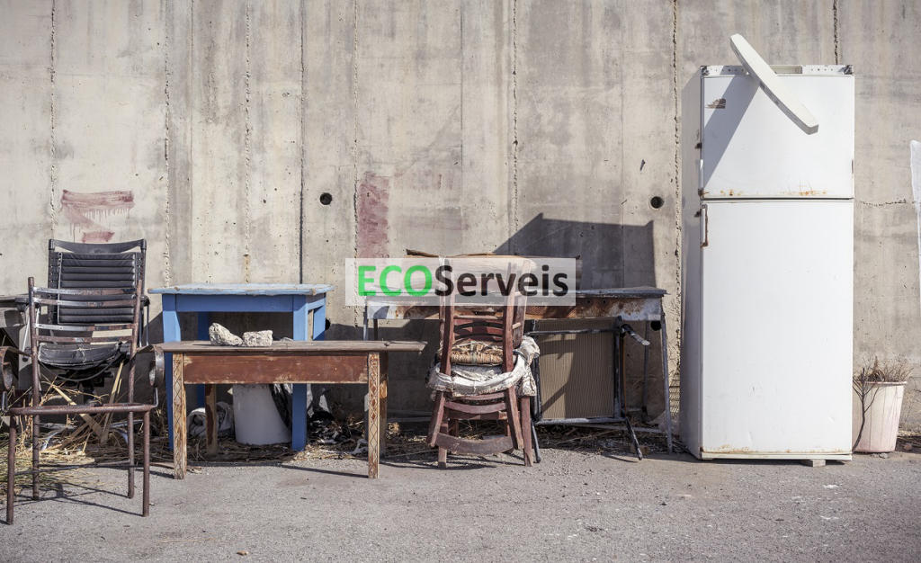 Neteja de terrenys i jardins: El servei addicional que ofereix EcoServeis per mantenir la teva propietat neta i ordenada