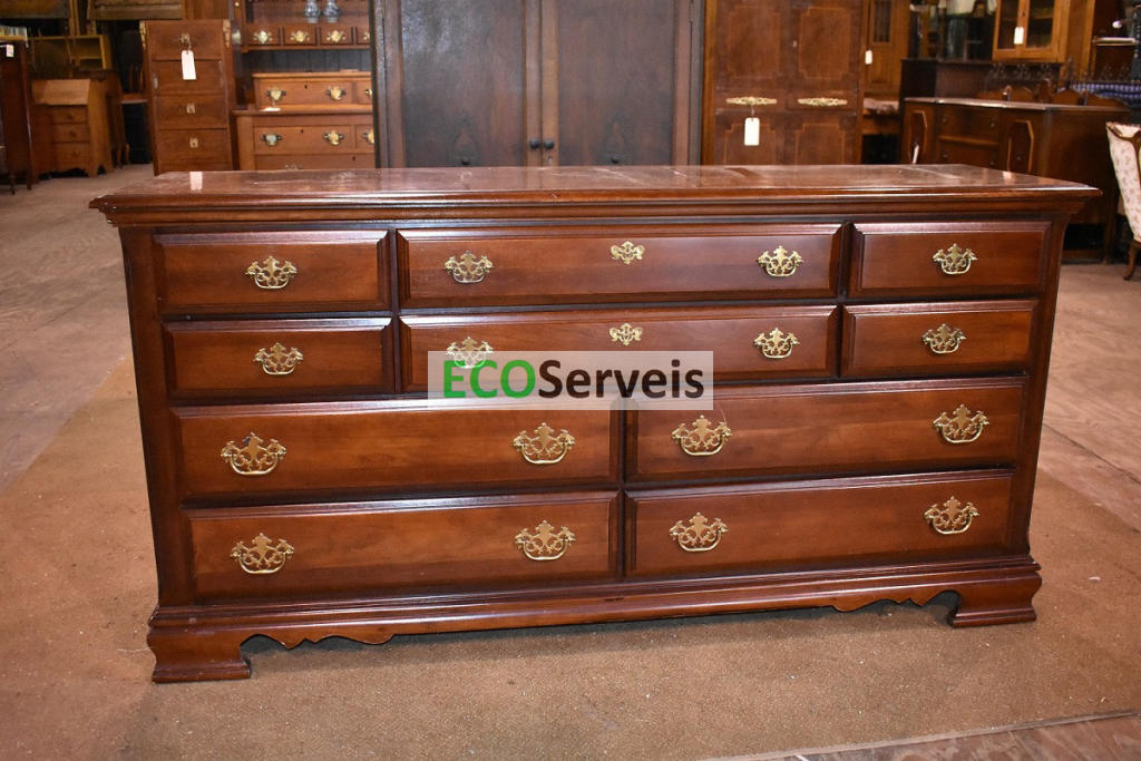 El servei de buidatge de pisos i cases de EcoServeis a Ulldecona: sostenibilitat, qualitat i professionalitat al teu servei