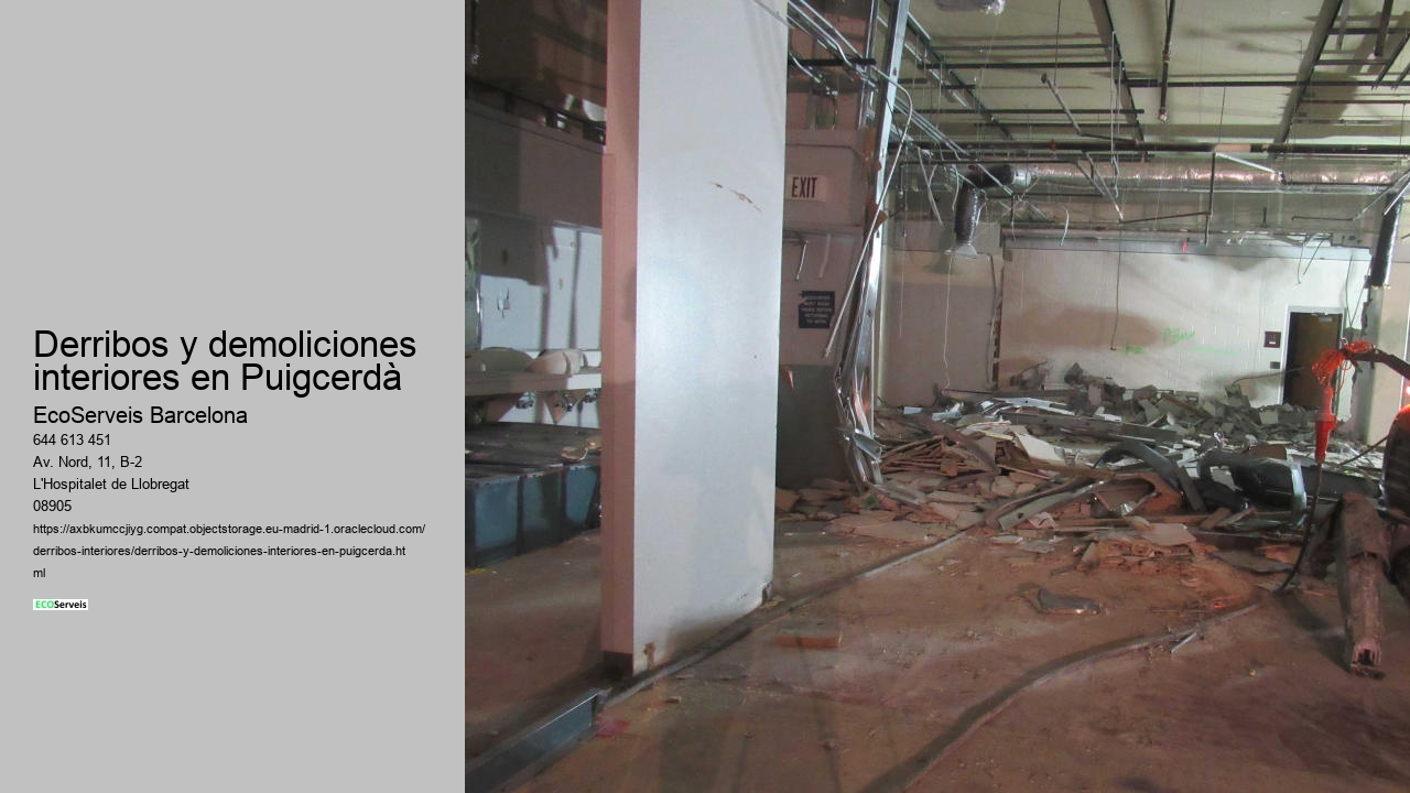 Derribos y demoliciones interiores en Puigcerdà