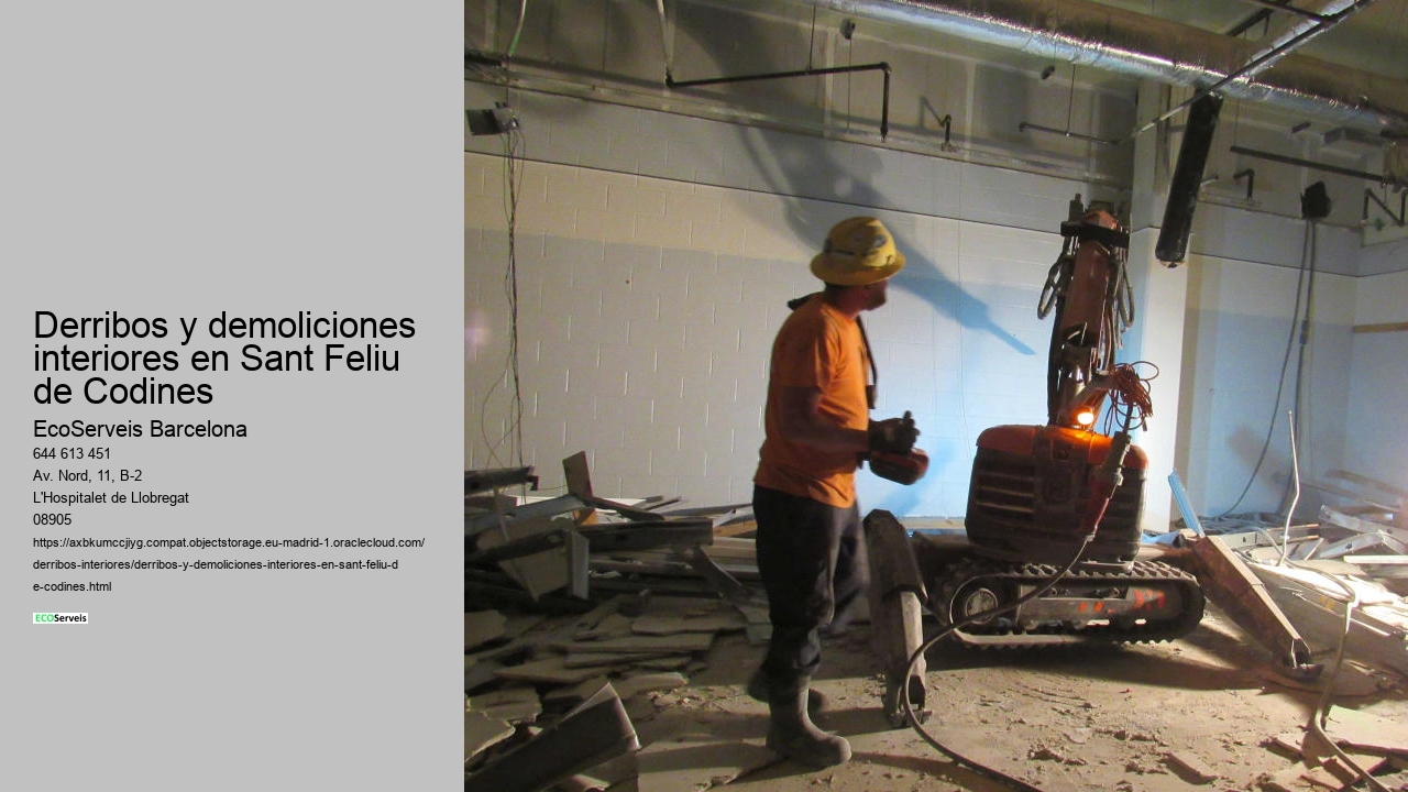 Derribos y demoliciones interiores en Sant Feliu de Codines