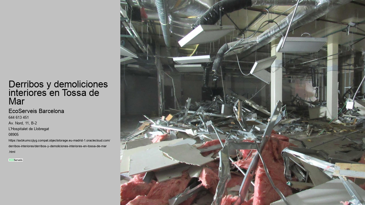 Derribos y demoliciones interiores en Tossa de Mar