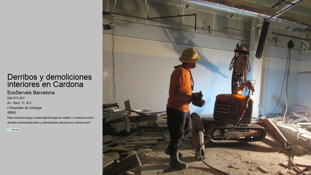Derribos y demoliciones interiores en Cardona