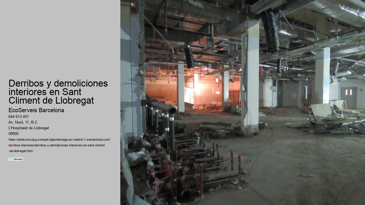 Derribos y demoliciones interiores en Sant Climent de Llobregat
