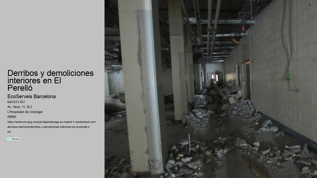 Derribos y demoliciones interiores en El Perelló