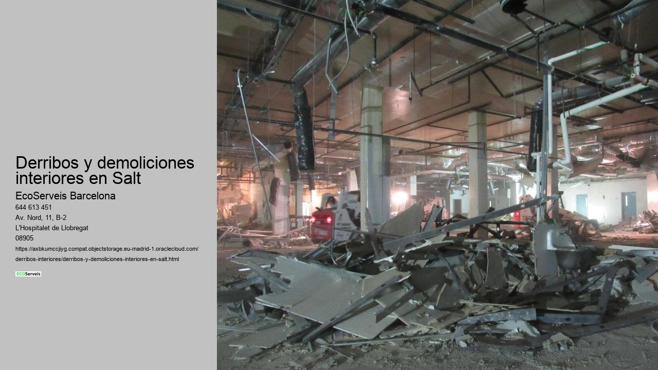 Derribos y demoliciones interiores en Salt