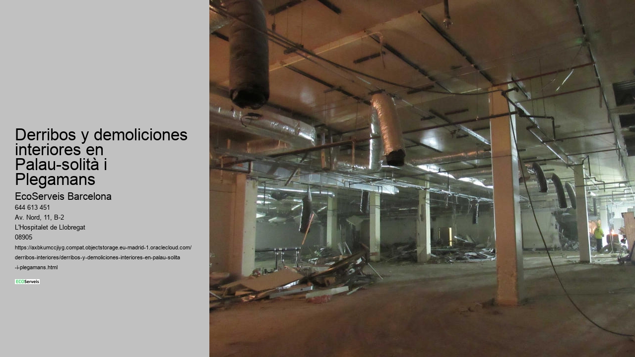 Derribos y demoliciones interiores en Palau-solità i Plegamans