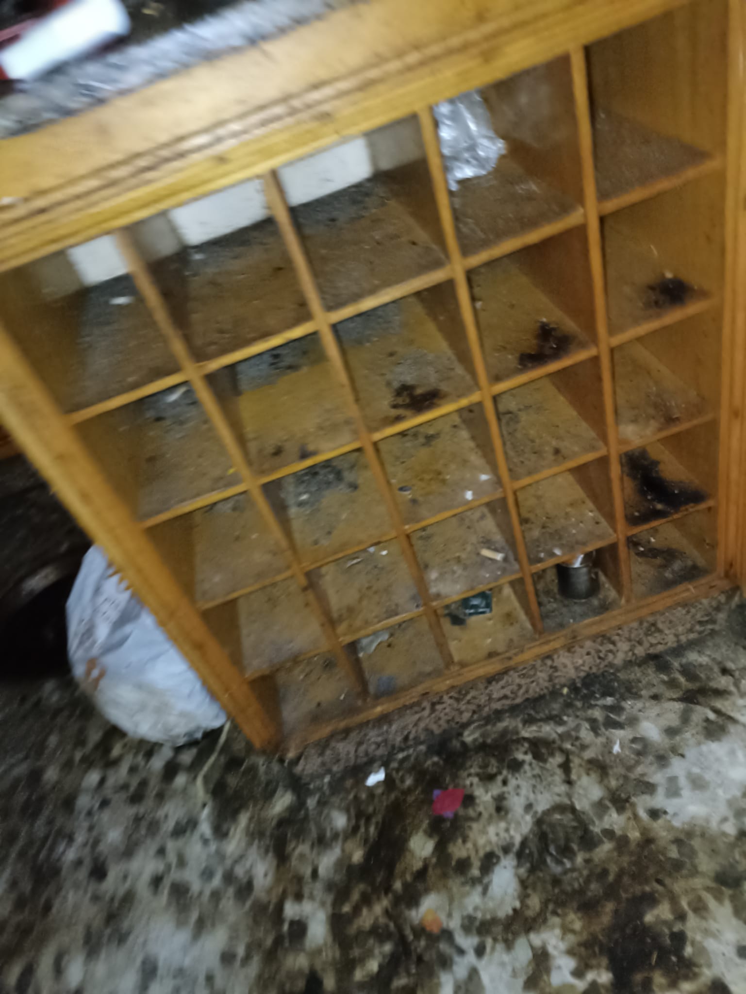 Deshazte de tus muebles, electrodomésticos y basura de manera sostenible en Bot - ¡Contáctanos!